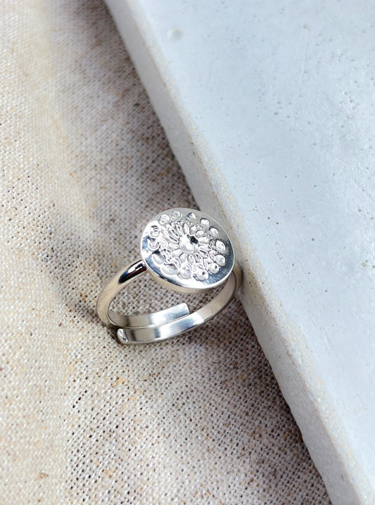 Sterling Silver Adjustable Family Coin Ring